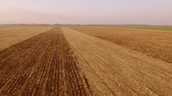 The Endless Fields After Crop Harvesting