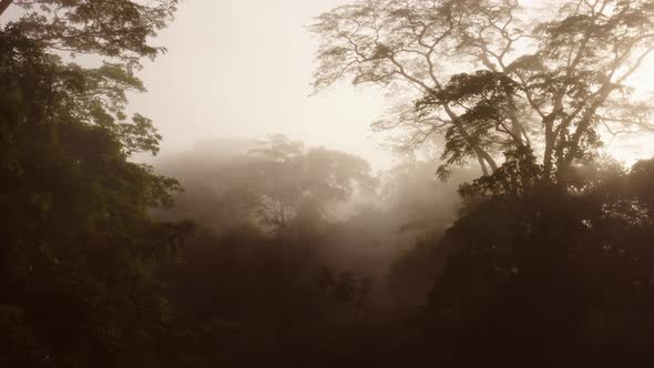 Aerial Drone View of Costa Rica Misty Rainforest Scenery, Above the Trees and Tree Tops in Beautiful