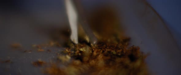 Trimming marijuana with scissors to roll a joint. Close up of weed being cut up.