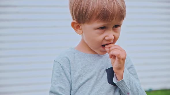 Child 4 Years Old Holding and Eating Raspberries in Backyard