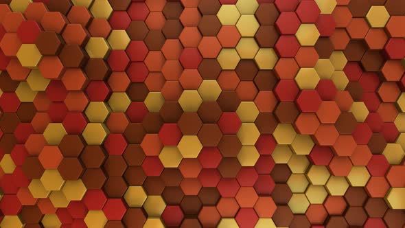 Autumn Hexagon Background / Fall - 4K