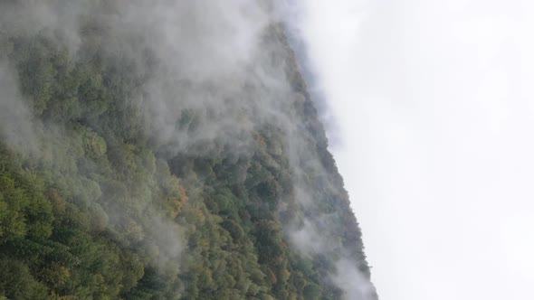 Vertical Video Carpathian Mountains