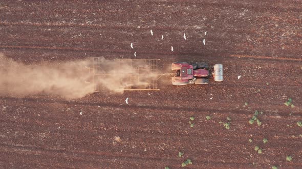 Red Tractor plowing a large field, Early morning follow footage.