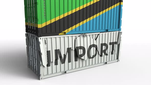 Container with Flag of Tanzania Breaks Container with IMPORT Text