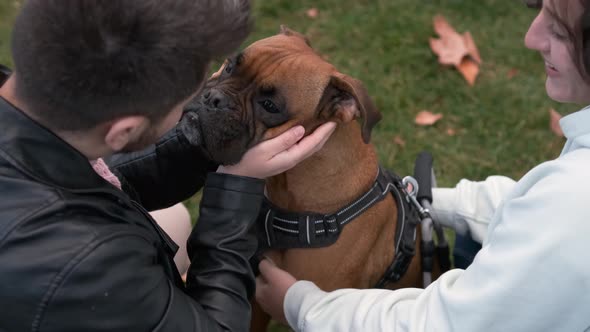 Couple stroking their dog while enjoying a day outdoors together in the park. Pets concept.