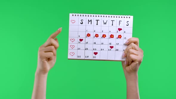 Female Hands Hold a Woman's Periods Calendar Isolated on Studio Green Screen Chroma Key Background