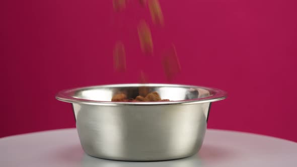 Pouring Dry Dog Food Into Metal Bowl Closeup