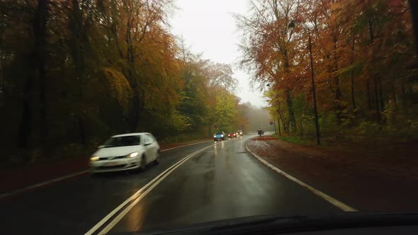 Driving On A Beautiful, Rainy Autumn Forest Road, Stock footage By Brian Holm Nielsen