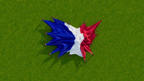 France Flag