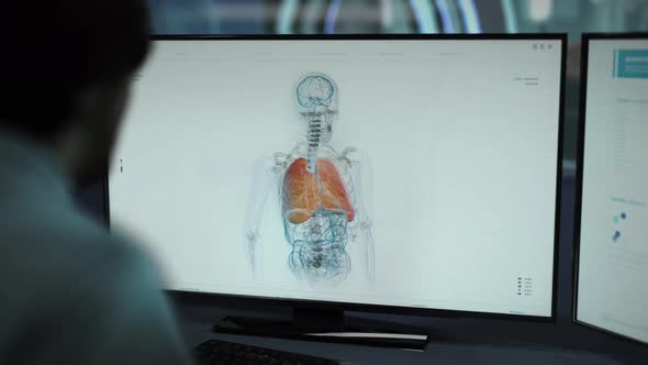 Human Skeleton Study By Doctor In Modern Medical Software At Advanced Laboratory alt
