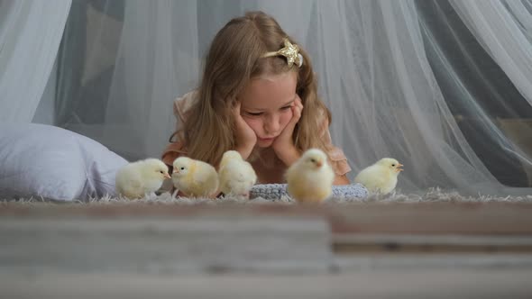 Baby Chickens Walking Beside Little Girl Indoors