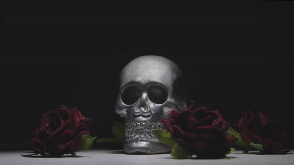 skull with burgundy roses rotates on a dark background