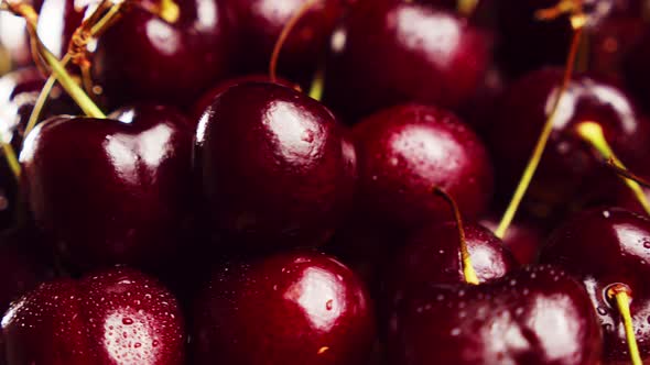 Fresh Juicy Wet Red Cherry Rotation