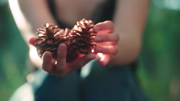 Girl's Hand Holding Pine Fir Cones. Fixing Pine Cones On Hand. - close up shot