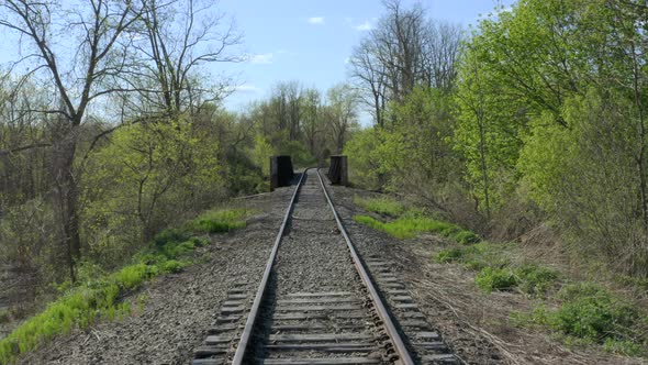 Railroad tracks run through foliage covered pathway