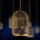 Corporate Caged Man - VideoHive Item for Sale