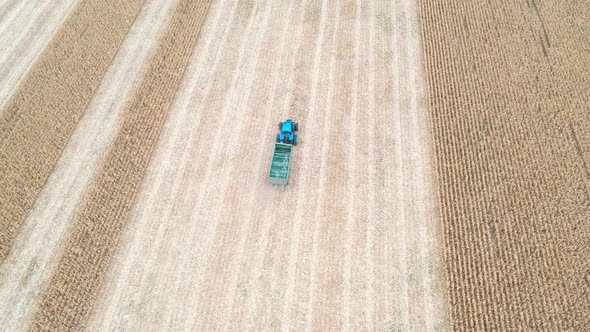 Aerial Shot of Tractor with Trailer Moving Along Field During Harvesting. Drone Tracking