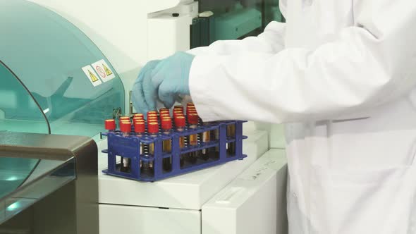 A Close-up of the Preparatory Process Before Placing the Tubes in a Laboratory Centrifuge