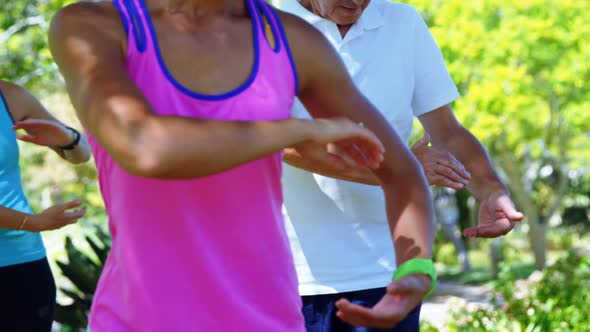 Group of people exercising in the park 4k