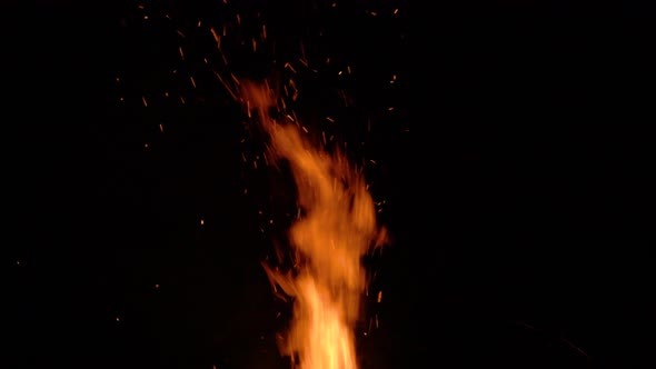 Burning Bonfire on a Black Background Surrounded By Branches