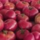 Tomatoes - VideoHive Item for Sale