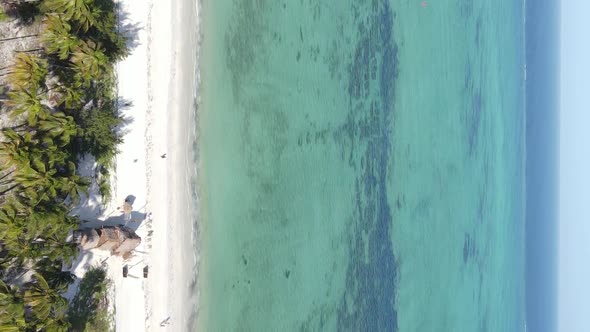 Vertical Video of the Coast of Zanzibar Island Tanzania Slow Motion