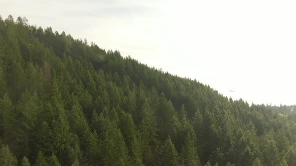 Aerial panoramic view of Sea to Sky Highway near Horseshoe Bay during a sunny winter evening before