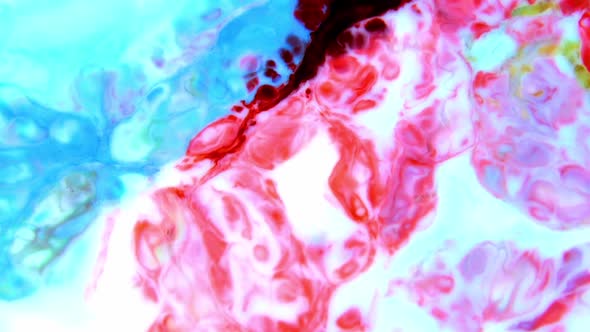 Abstract Background With Psychedelic Painting In Vivid Colors 561 alt