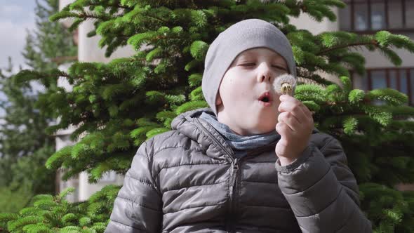 Caucasian Boy on Cool Day Blows on White Dandelion Hat Seeds Fly Away