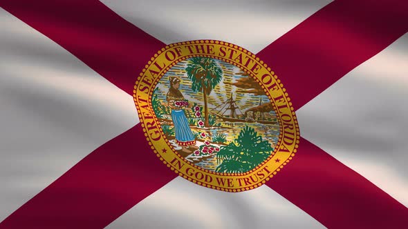 Florida State Flag Background 4K