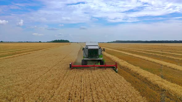 Modern combine harvester under blue sky. 