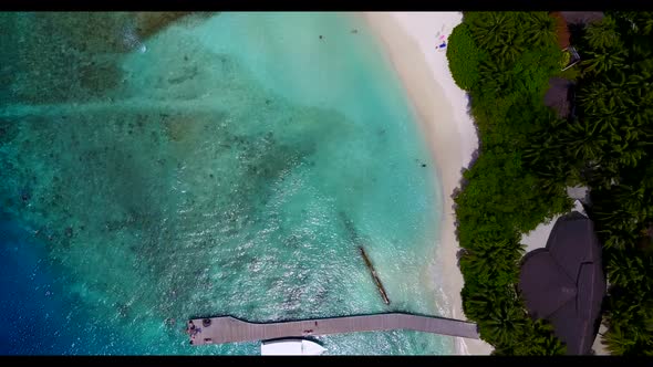 Aerial tourism of marine shore beach wildlife by aqua blue sea with white sandy background of a picn