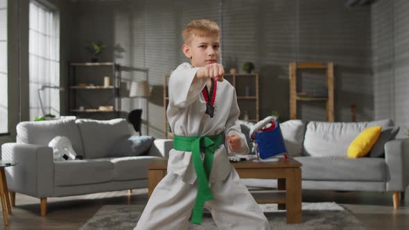 Portrait of a Taekwondo Boy at Home Looks Into the Camera