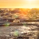 Icebergs Floating and Melting in Stormy Ocean - VideoHive Item for Sale