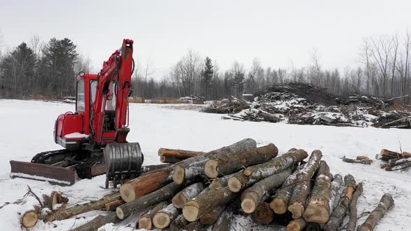 tractor and pile of logs from deforestation in winter time