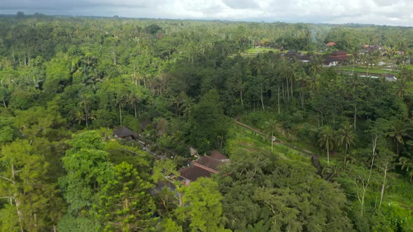 Aerial Reveal of the Tirta Empul Temple Hidden in a Thick Tropical Vegetation