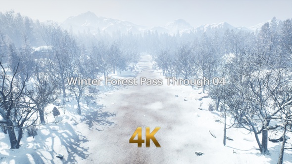 Winter Forest Pass Through 4K 04