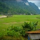 The Tay Village At  Vietnam Northwest Region - VideoHive Item for Sale