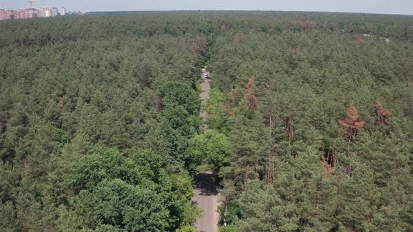 Drone View of Car Riding Along Forest Road