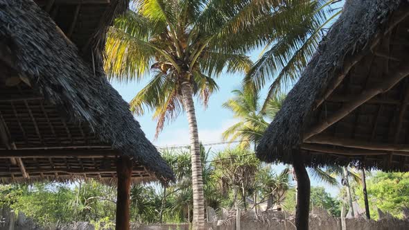 Tropical African Hotel with Thatched Roof Bungalows and Palm Trees Zanzibar