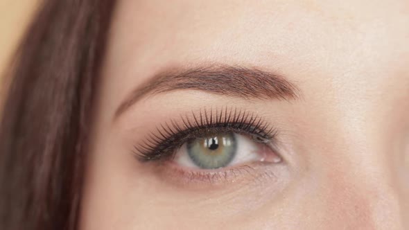 Cropped Footage of Attractive Young Woman with Artificial Eyelashes Smiling.