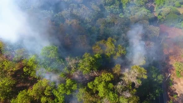 Aerial view around a wildfire, smoking trees near a road and houses, in tropical forests of Africa -