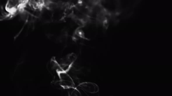 Abstract black and white smoke with a black background in slow motion. Realistic cloud smoke with st