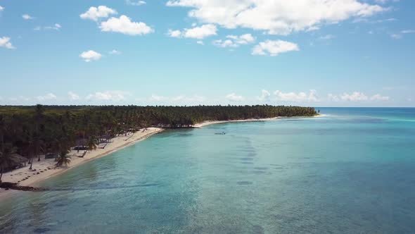 4k 24fps Drone Shoot Of The Carbbean Palmstree And Crystal Water In Sunny Day In Paradise 1