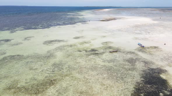 Low Tide in the Ocean Near the Coast of Zanzibar Island Tanzania