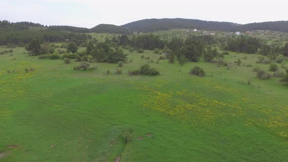 Village in the Pasture Near the Forest