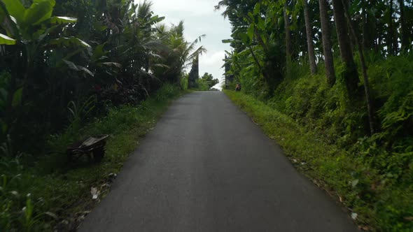 Following Rural Asphalt Street Along Rice Fields in Bali Indonesia