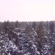 Frozen Trees Covered Snow Aerial - VideoHive Item for Sale