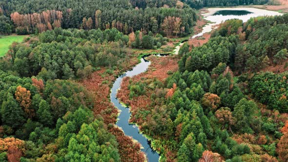 River, algae and swamp in autumn, aerial view