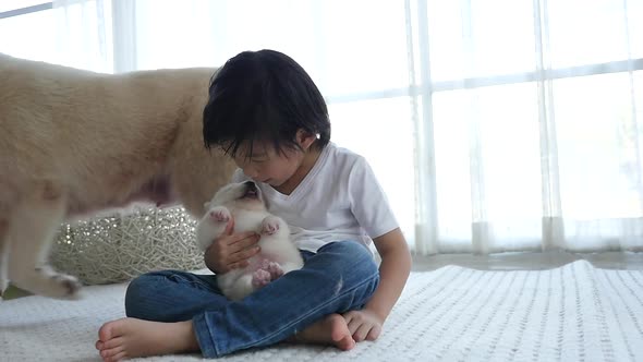 Cute Asian Child Playing With Siberian Husky Puppy,Slow Motion